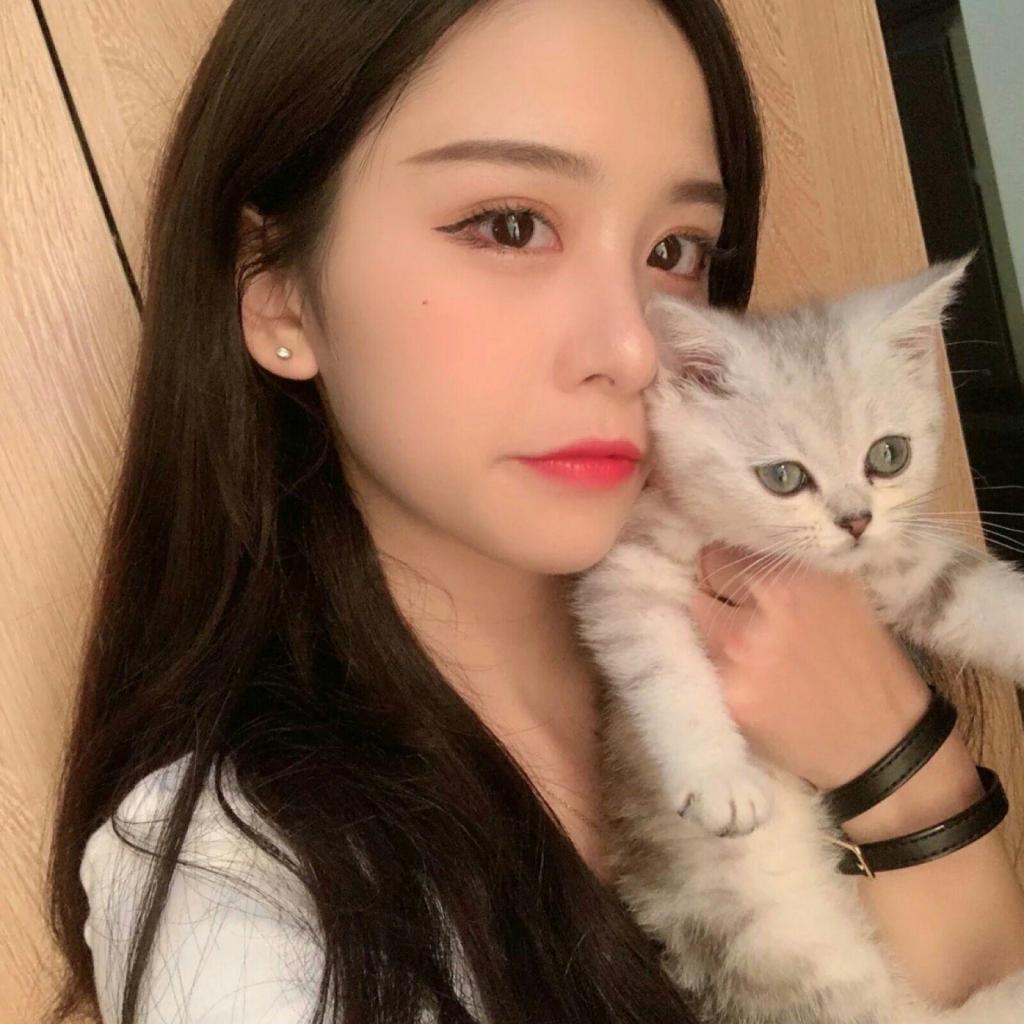 6686体育下载手机版